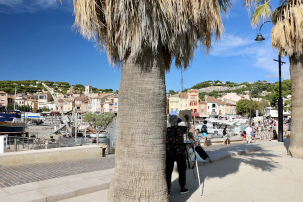 A vibrant photo of Cabo San Lucas downtown with professionals engaging in conversation near the marina.