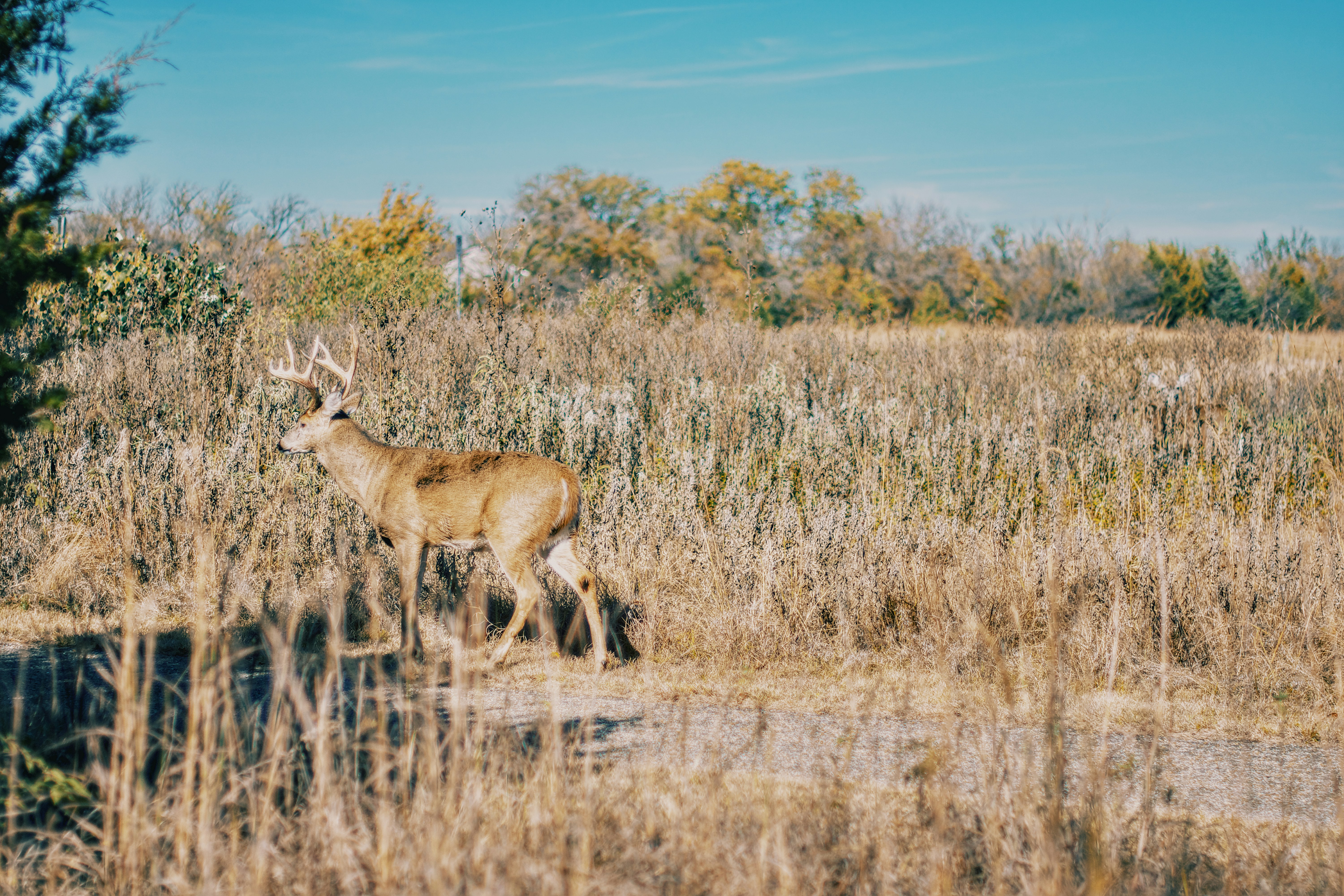 Dorrell Tibbs/Unsplash