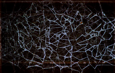 A sleek, minimalistic illustration of interconnected links forming a neat web.