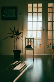 a cat sitting on a bench in front of a door