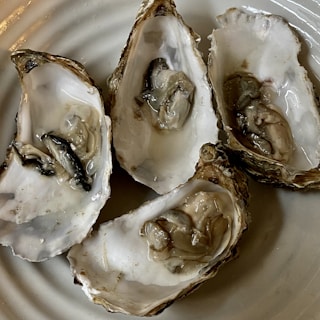 Four opened oyster shells on a white plate, each containing a raw oyster with visible textures and shiny surfaces, displaying natural earthy hues.