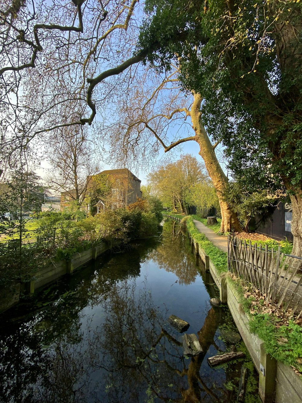 a river running through a lush green park