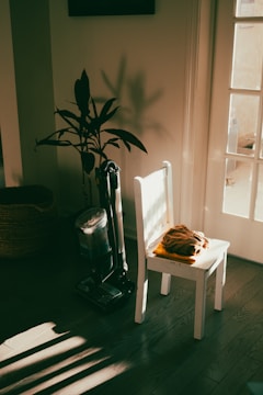 A sunlit corner features a white chair with a folded orange blanket placed on it. A vacuum cleaner stands beside the chair, and a potted plant is nearby. Light streams through a glass-paneled door, creating shadows on the wooden floor.
