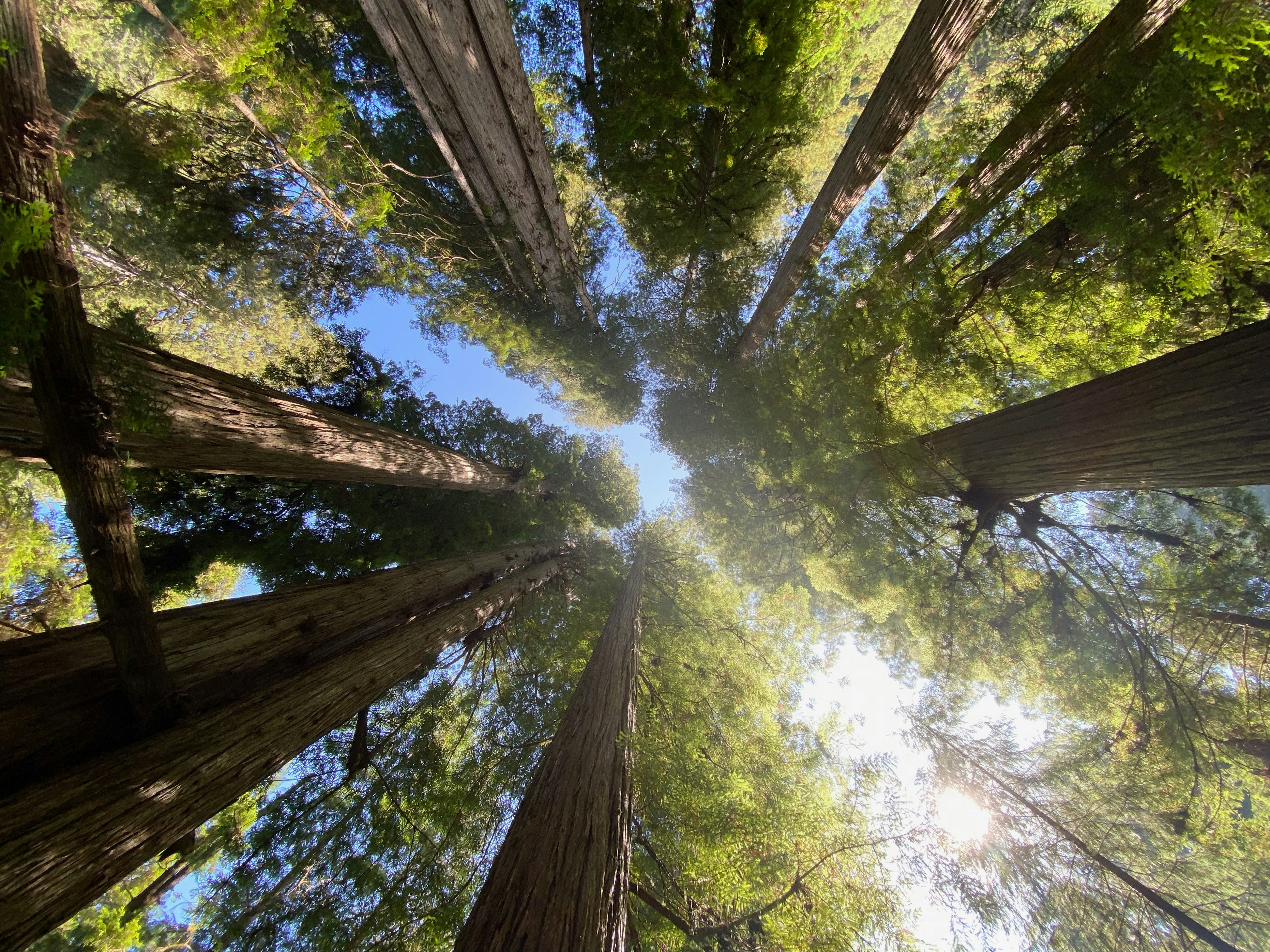 Photo by whyillumination