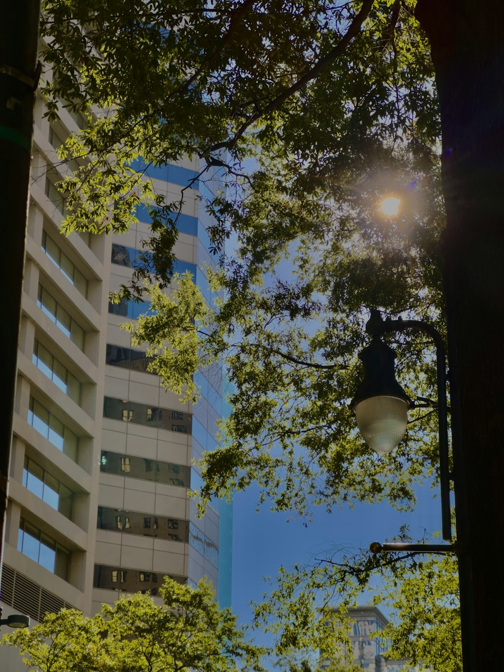 una farola con un edificio al fondo