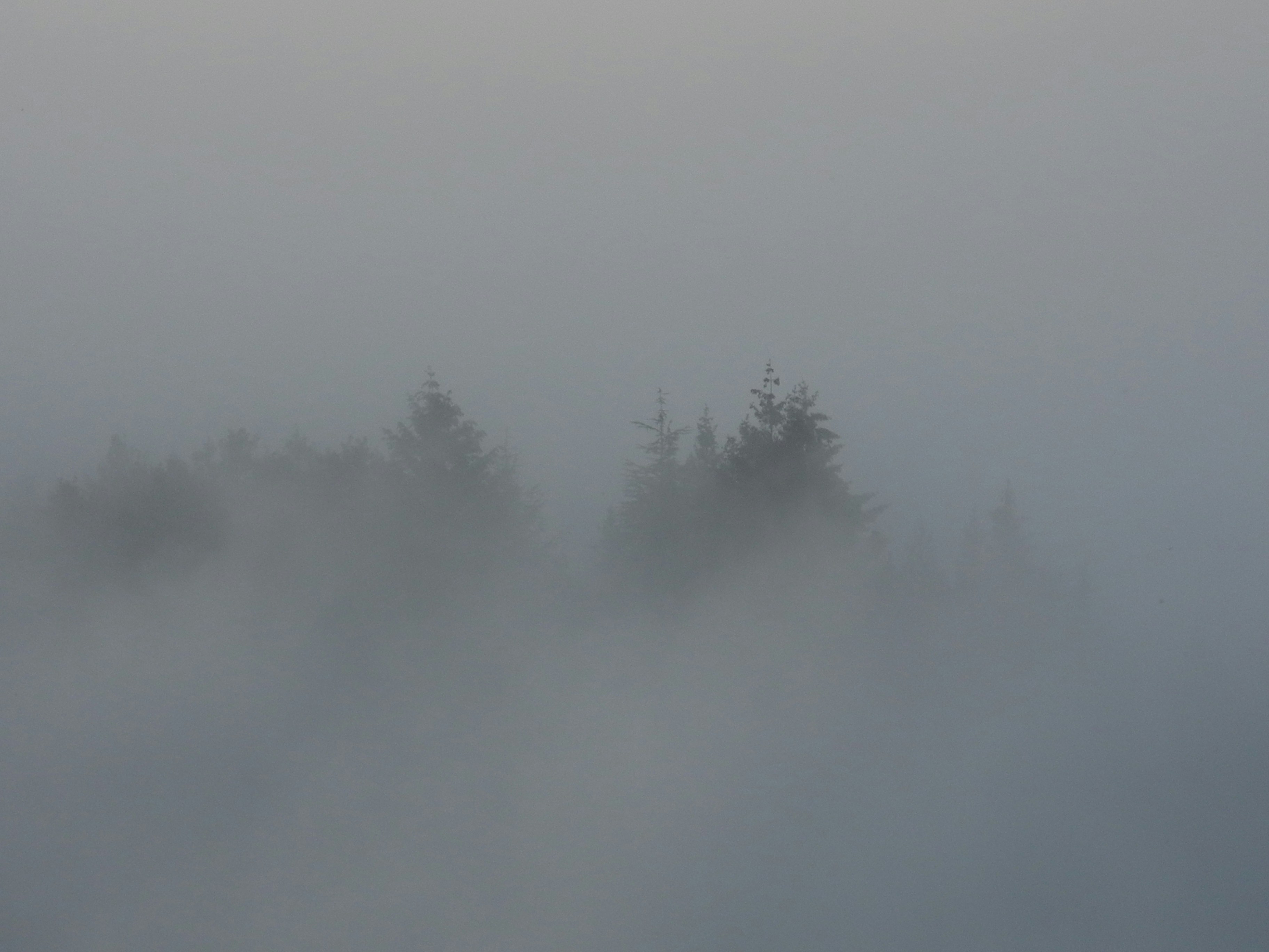 Photo by alessandro_77