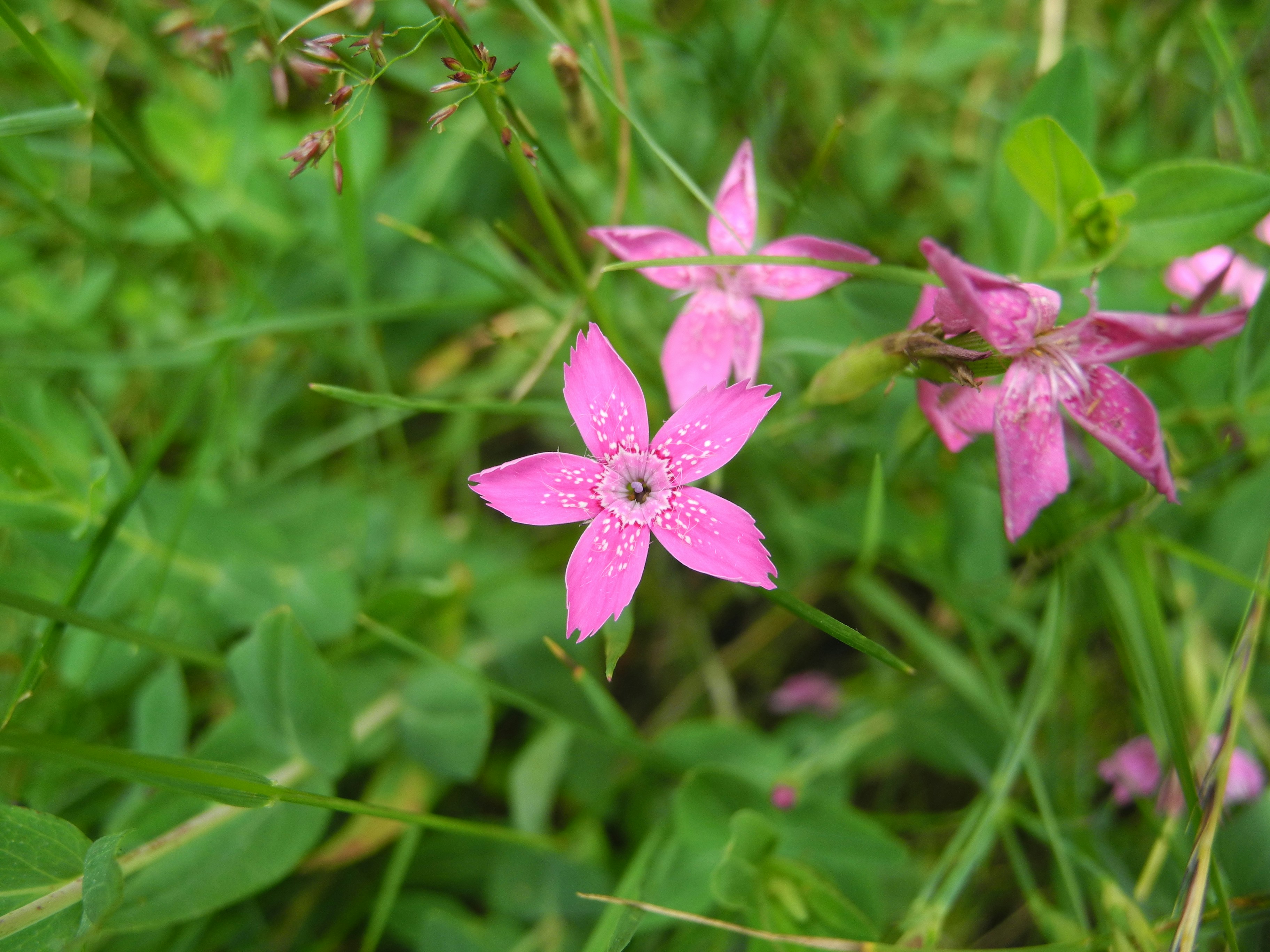 Photo by alessandro_77