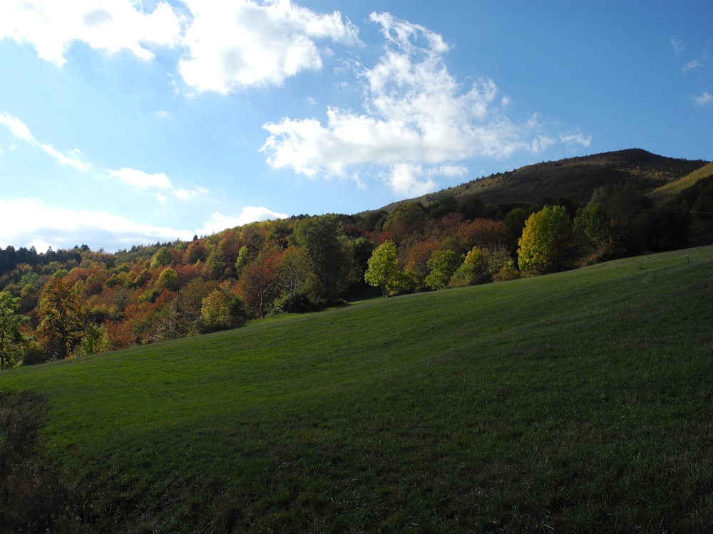 a grassy field with trees on a hill in the background