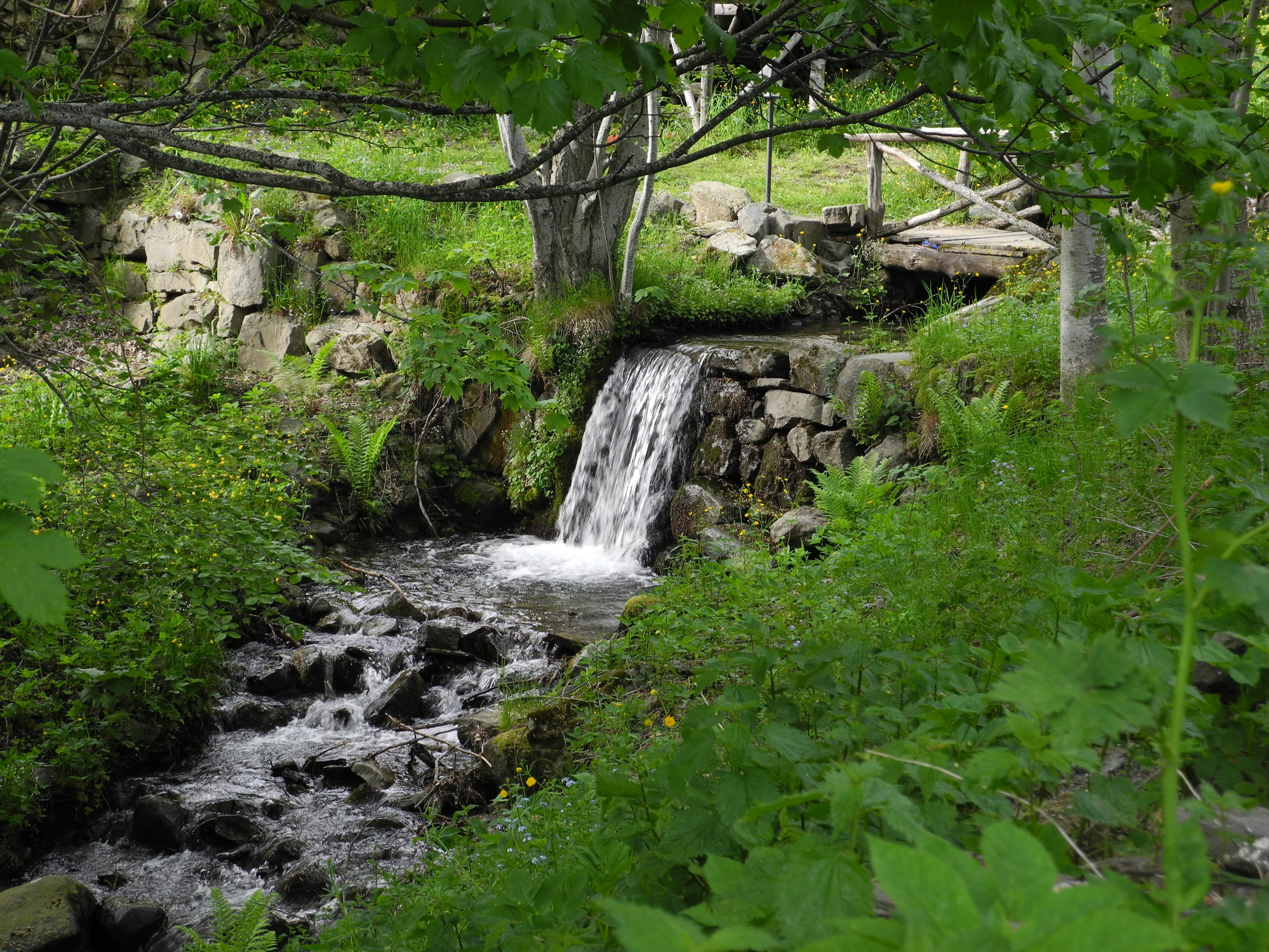 Photo by alessandro_77