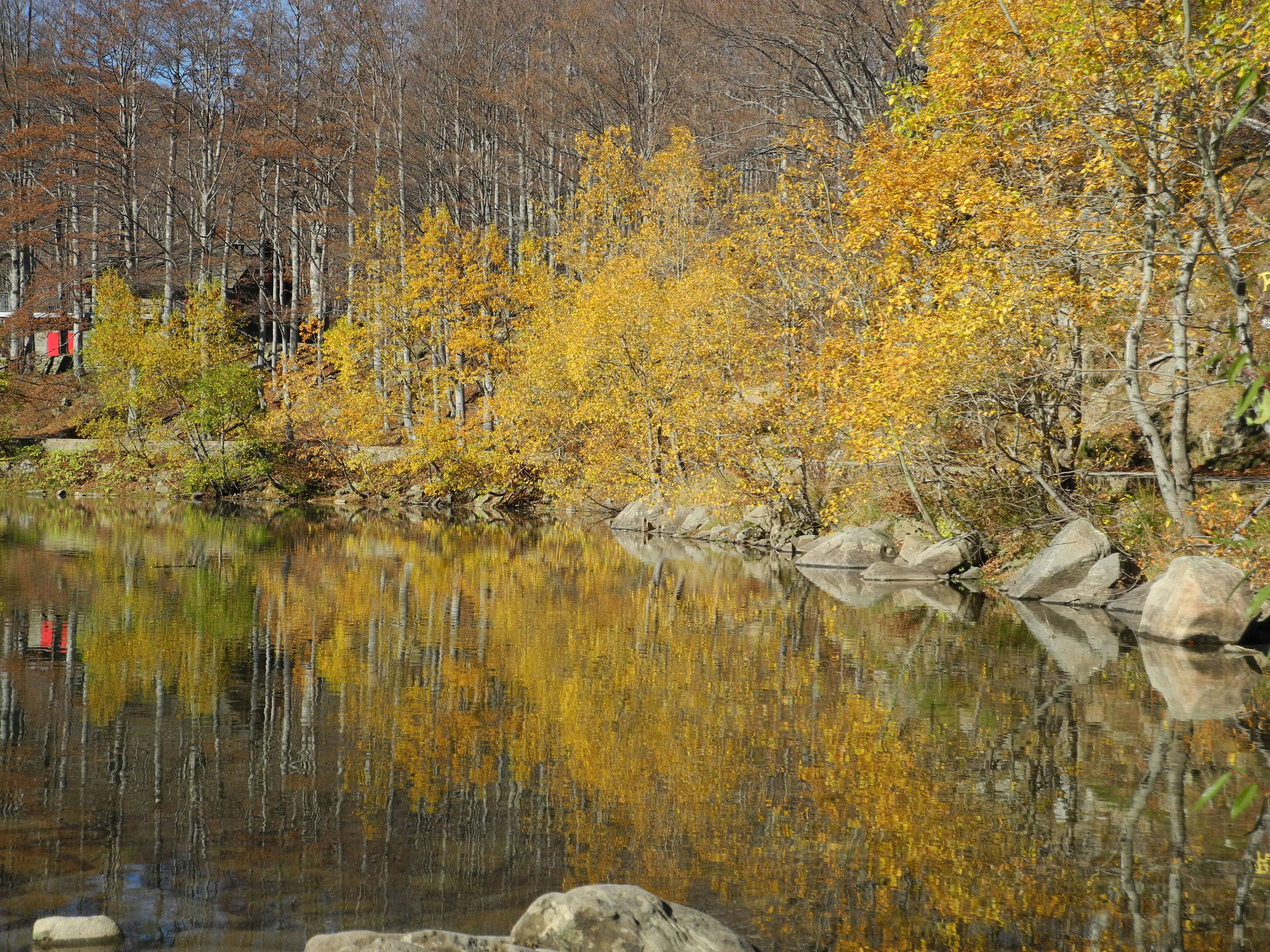 Photo by alessandro_77