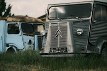 Two vintage delivery vans are parked on a grassy field. The van in the foreground is silver with prominent headlights and a retro grille design. The van in the background is light blue and appears to be rusted, with visible wear and tear. Both vehicles have a distinct, boxy shape typical of mid-20th century design.