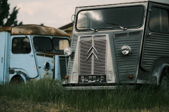 Two vintage delivery vans are parked on a grassy field. The van in the foreground is silver with prominent headlights and a retro grille design. The van in the background is light blue and appears to be rusted, with visible wear and tear. Both vehicles have a distinct, boxy shape typical of mid-20th century design.
