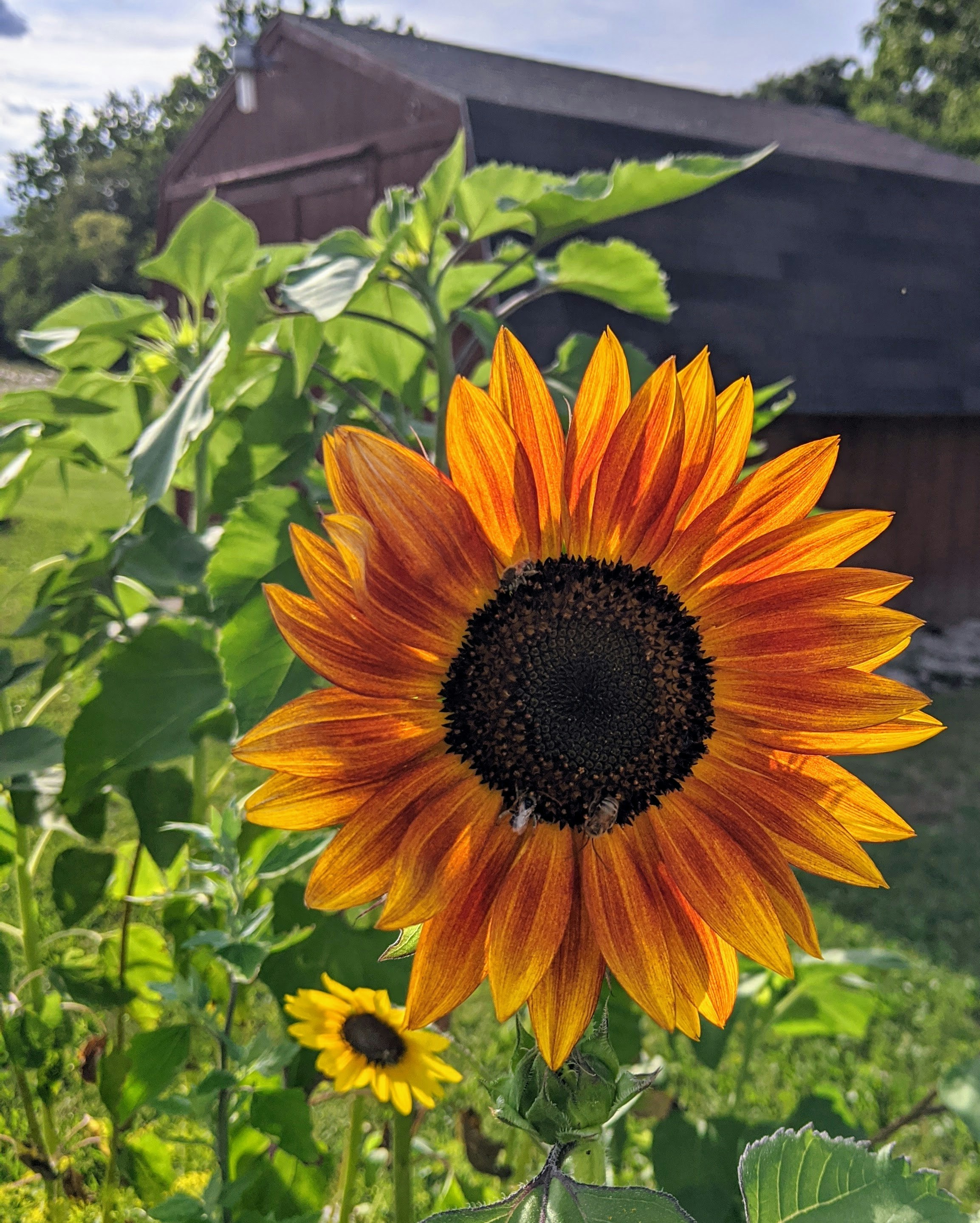 Photo by sarah_kaybee