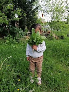 Bahçe Sırrı