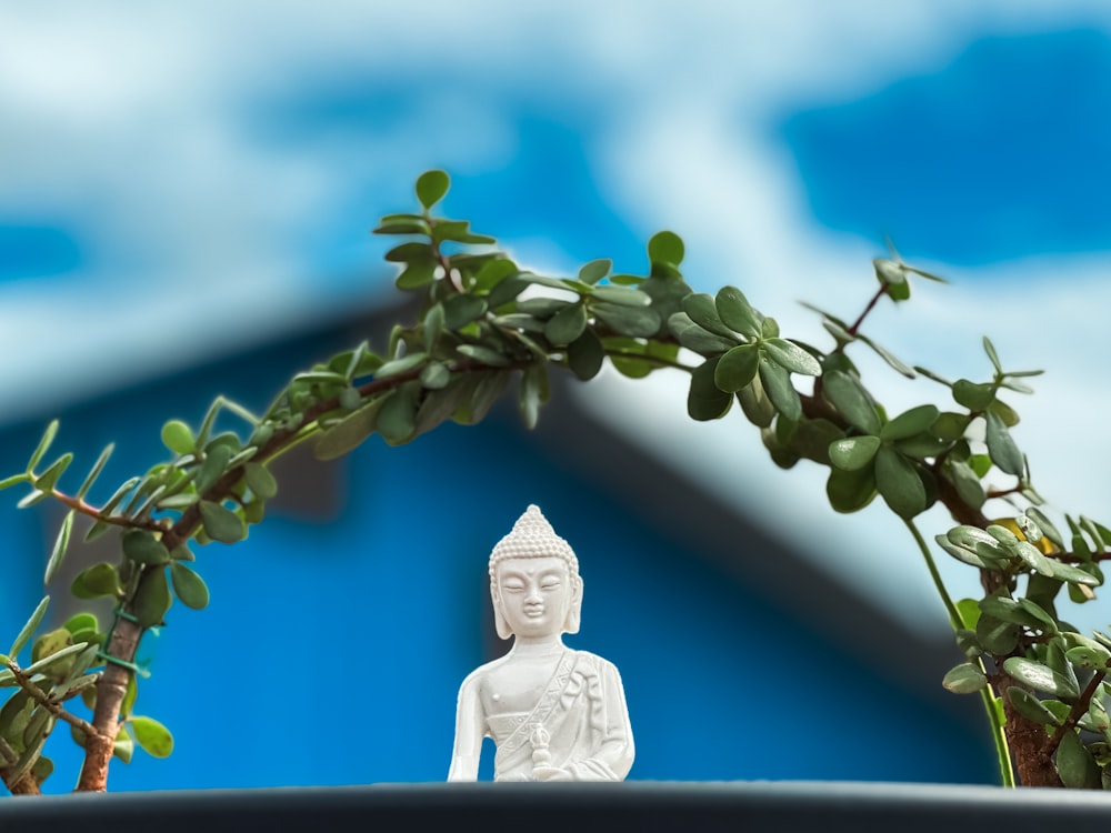 a white buddha statue sitting on top of a potted plant