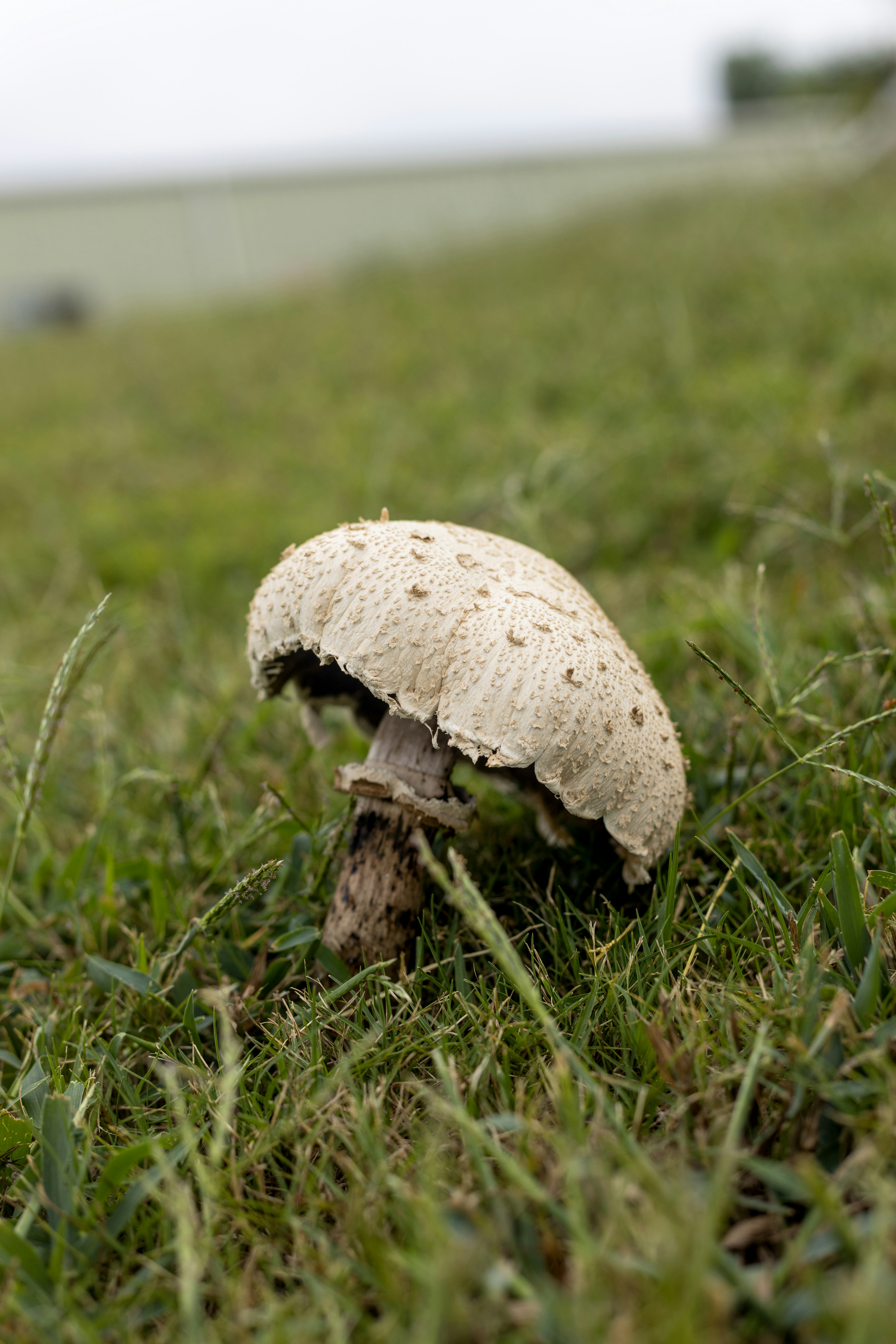 Photo by arelitenorio23