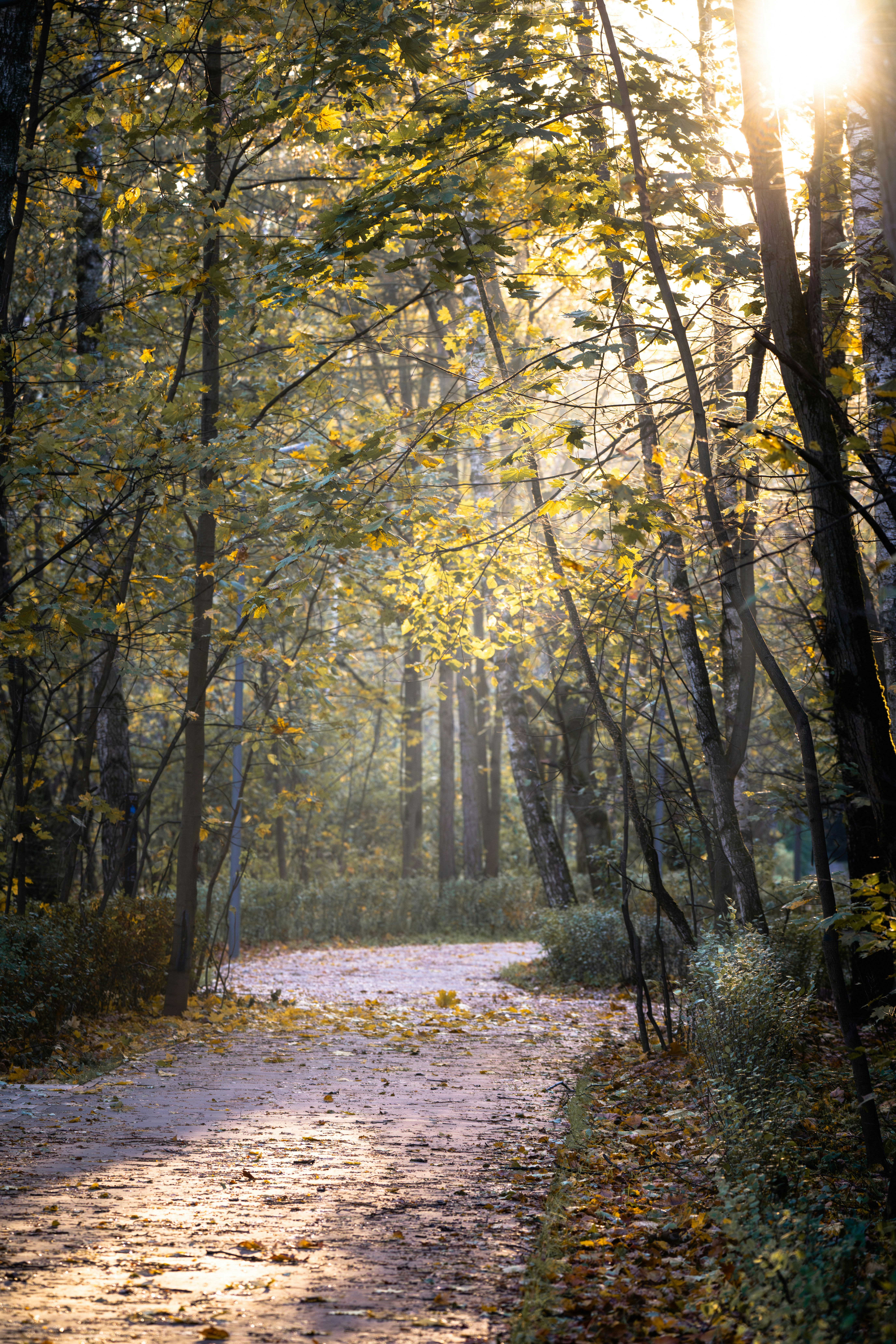 Photo by andreystrizhkov