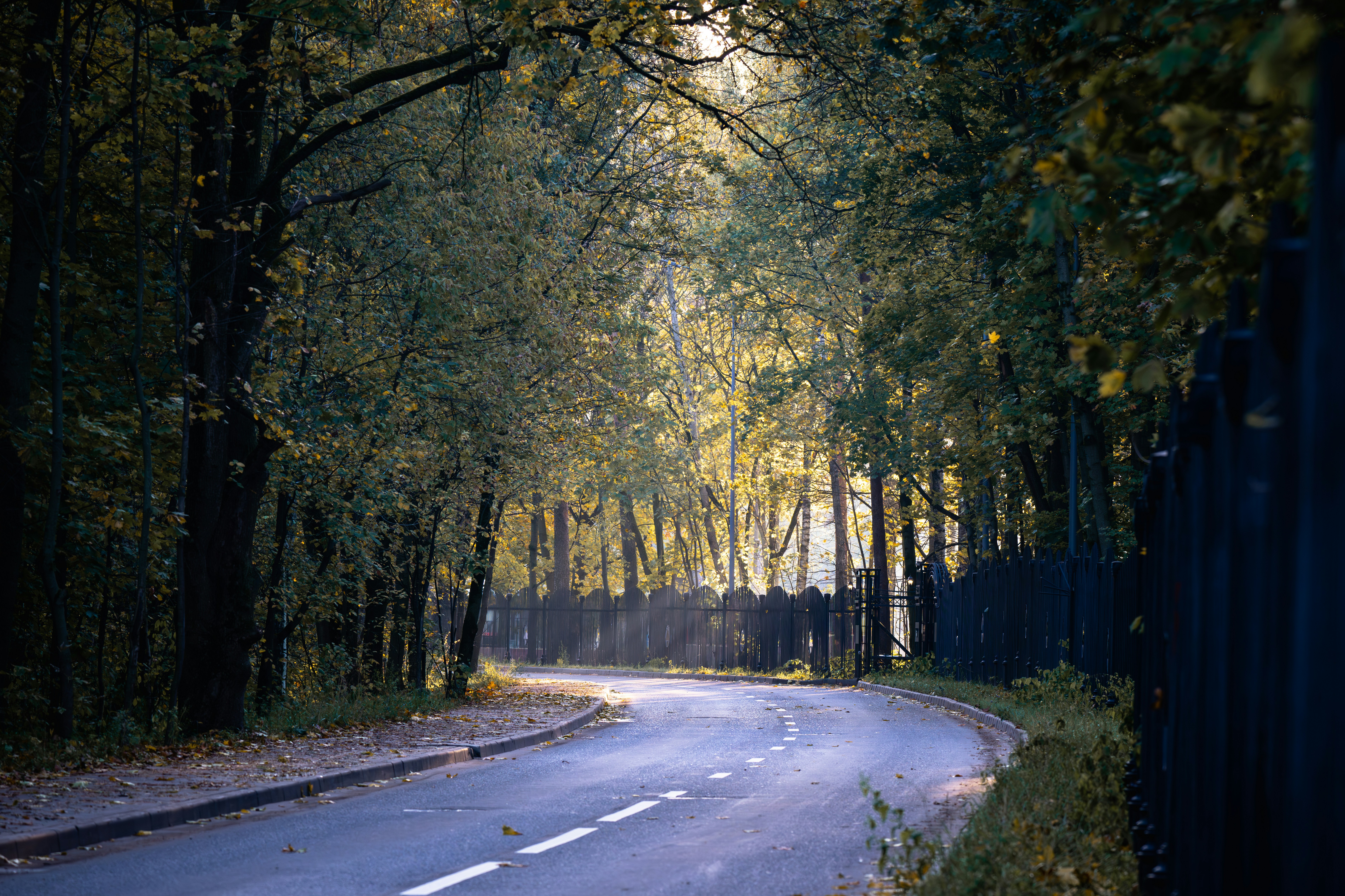 Photo by andreystrizhkov