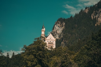 A scenic view of Neuschwanstein Castle surrounded by lush green forests under a clear blue sky.
