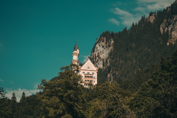 A scenic view of Neuschwanstein Castle surrounded by lush green forests under a clear blue sky.