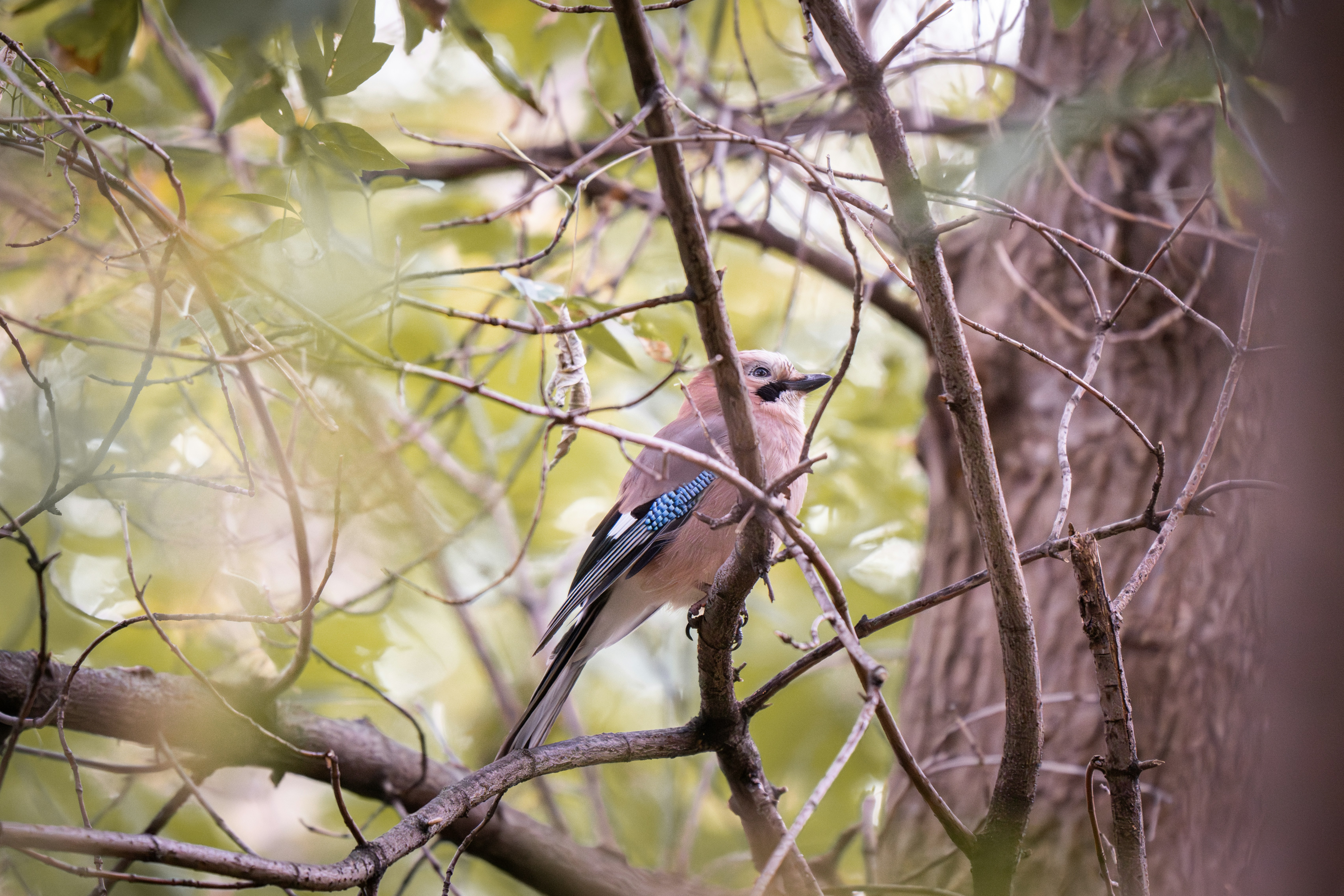 Photo by andreystrizhkov