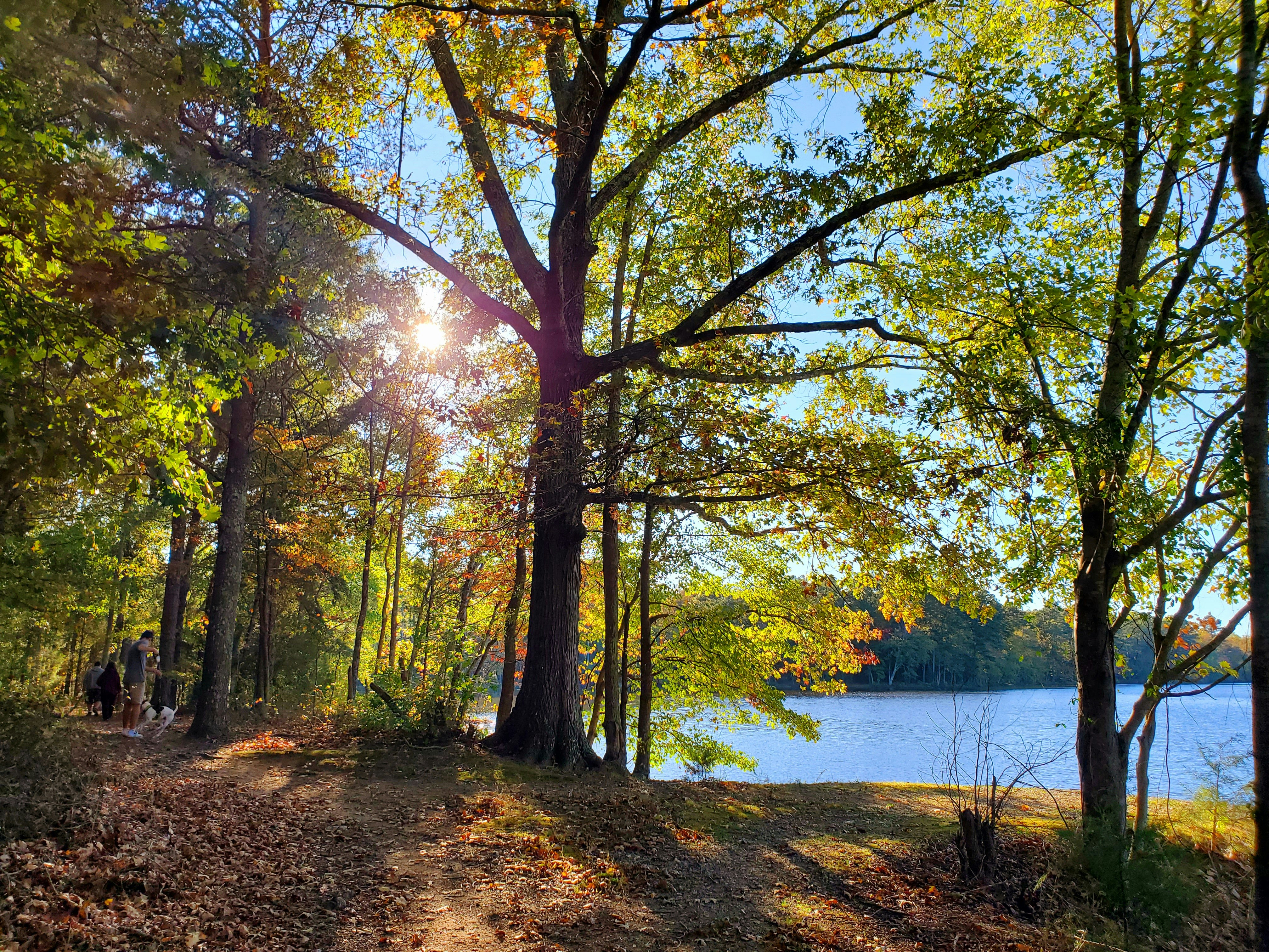 Photo by karolinabobek