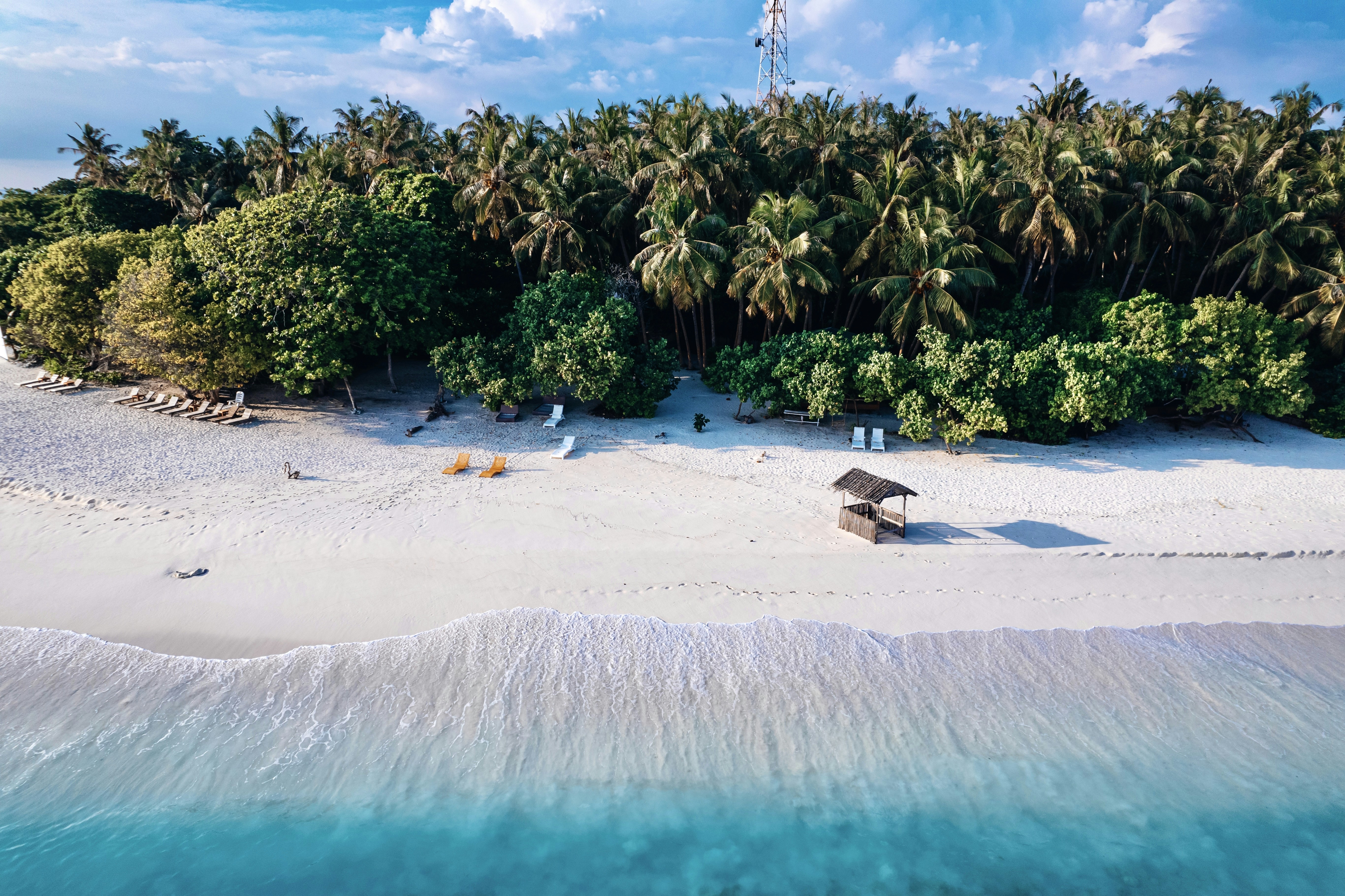 Photo by alysphotography