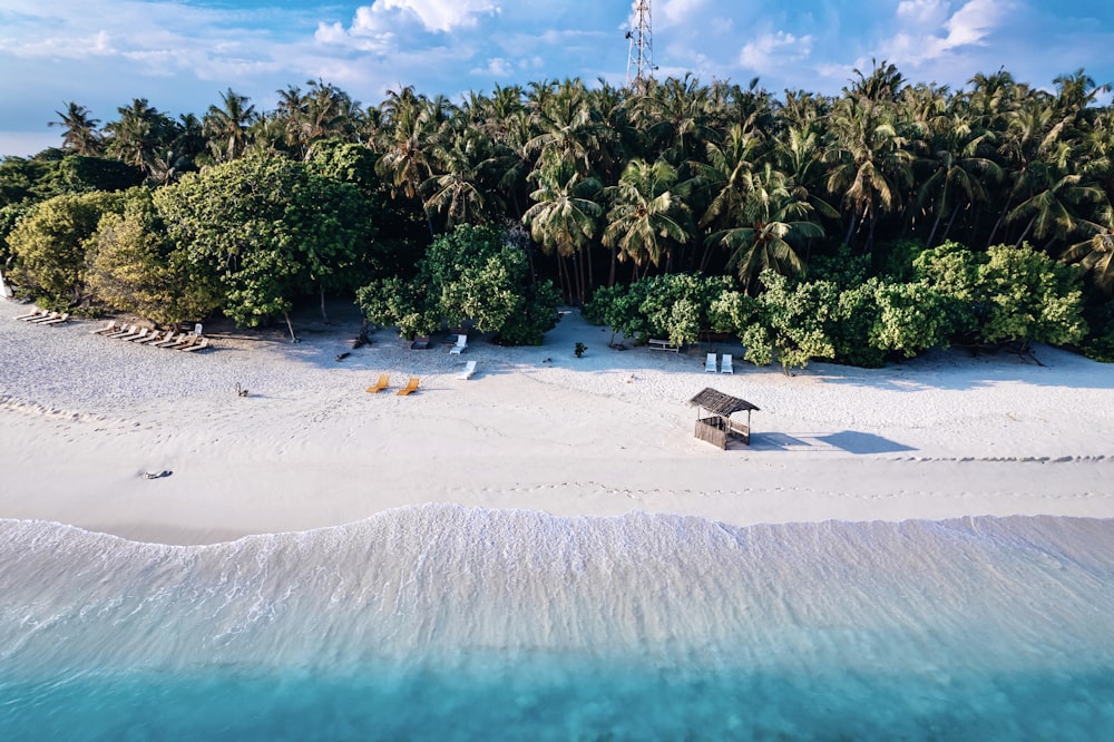 an aerial view of a beach with palm trees