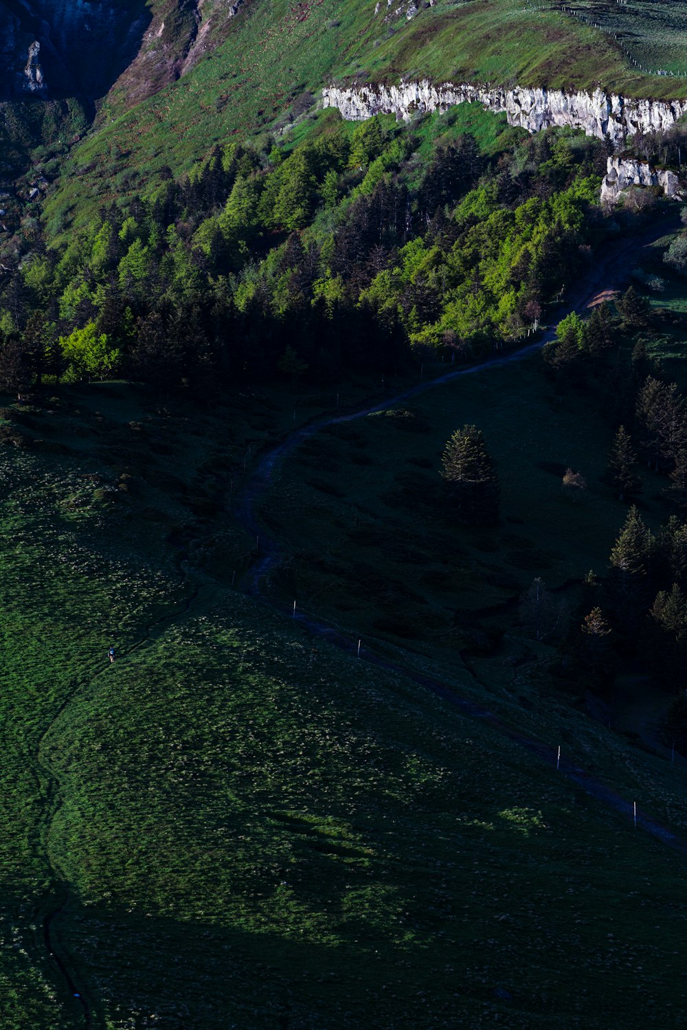 uma vista aérea de uma encosta verde exuberante