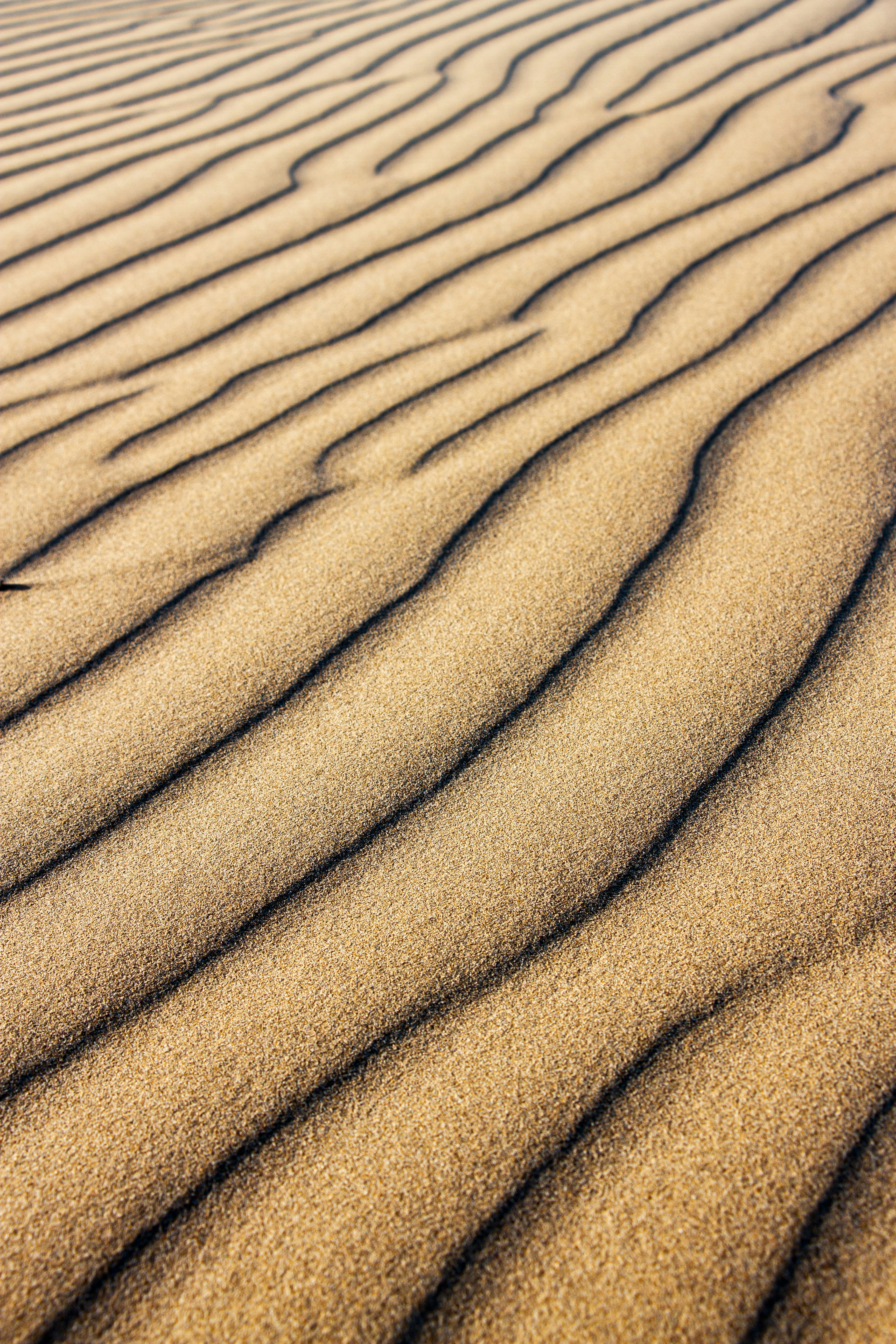 Photo by farazahanin