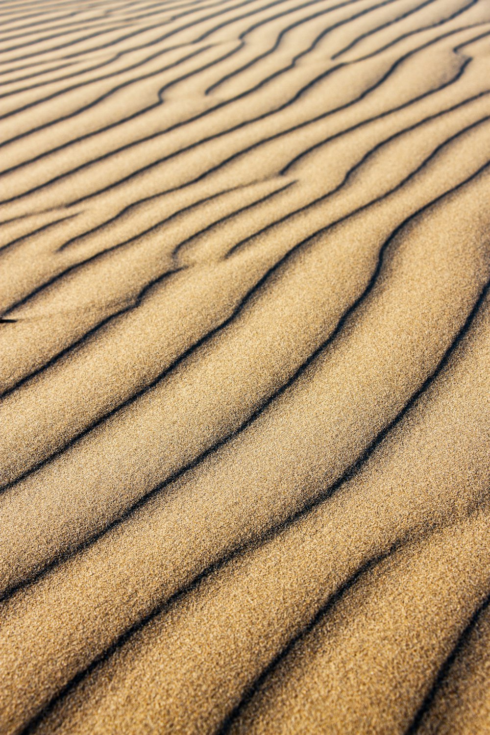 a sandy area with lines in the sand