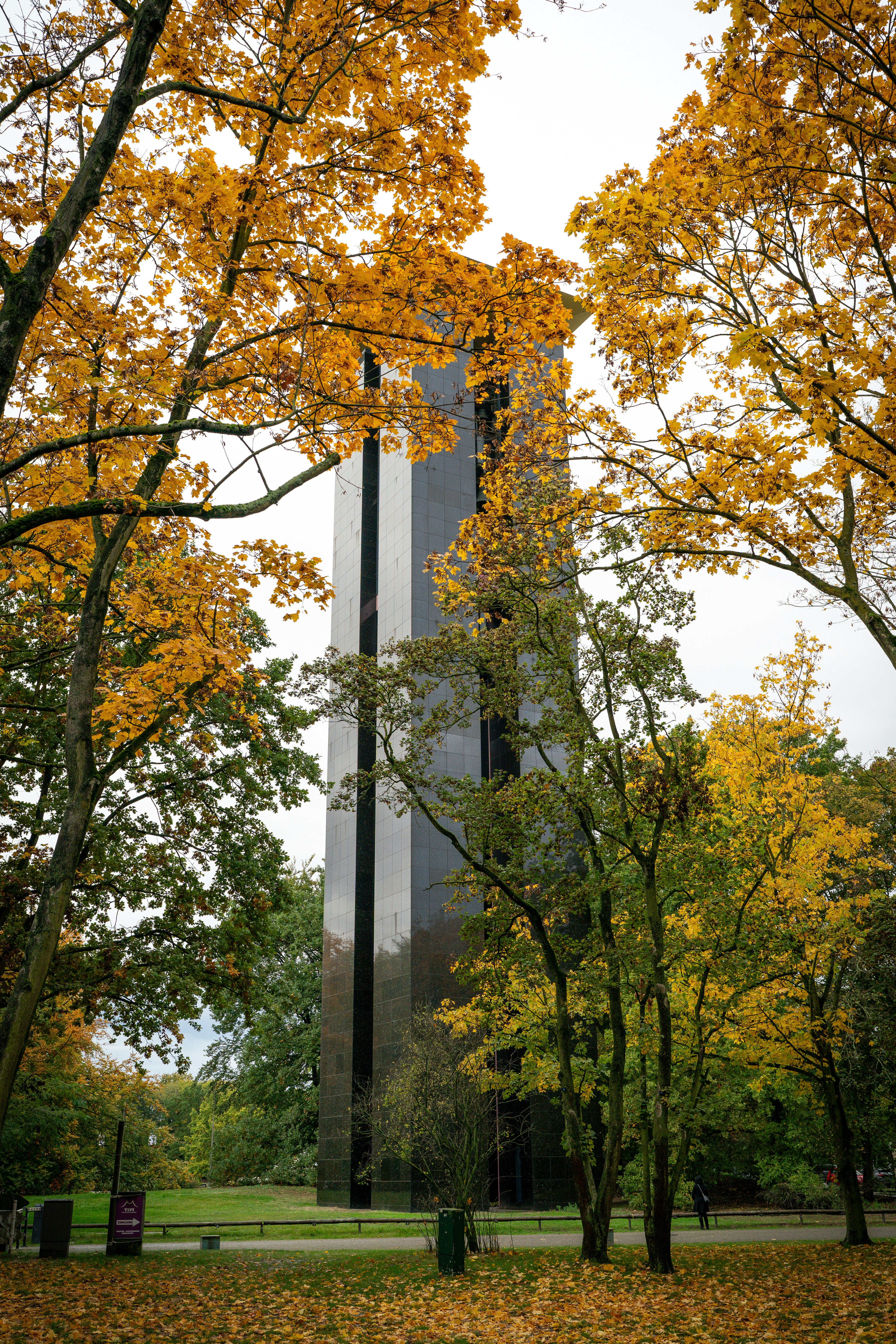 un grand bâtiment entouré d’arbres aux feuilles jaunes