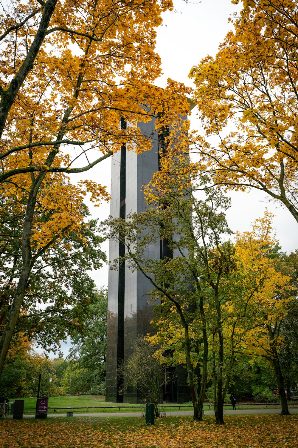 a tall building surrounded by trees with yellow leaves