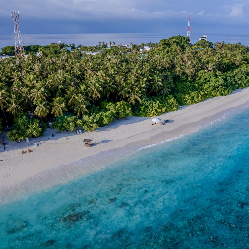 an aerial view of a beach with palm trees