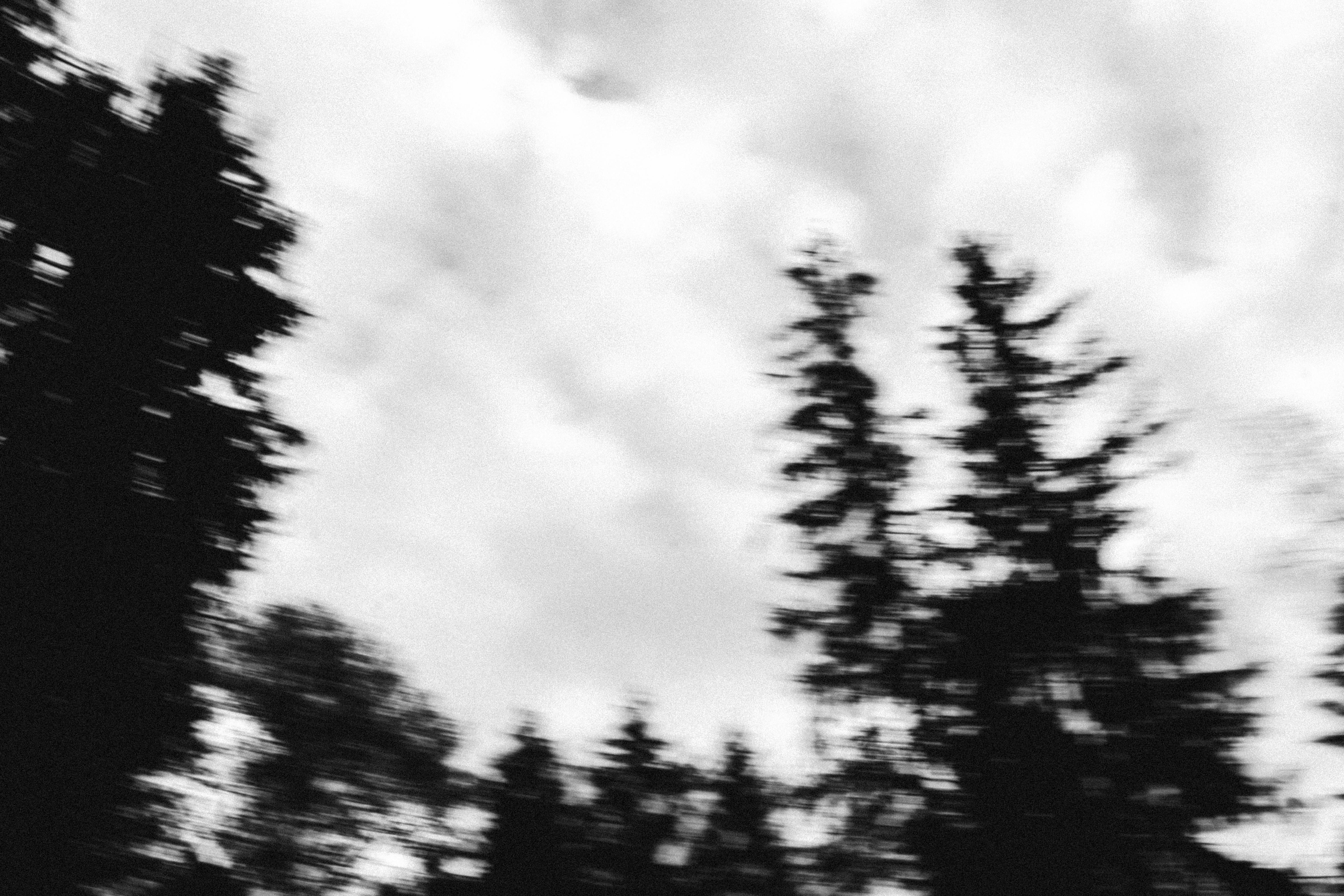 Photo by abalashevsky