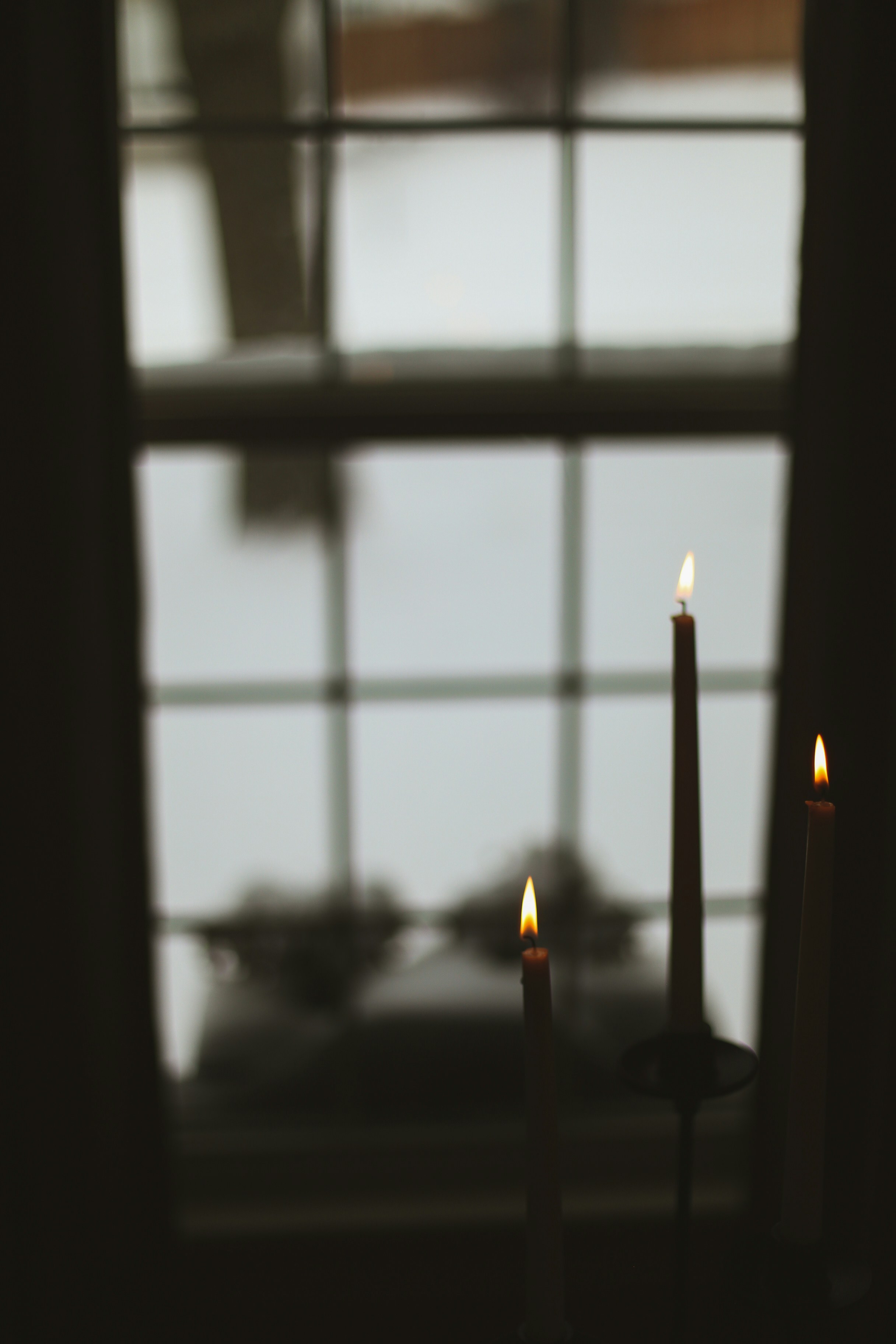 Photo by jessicalfadel