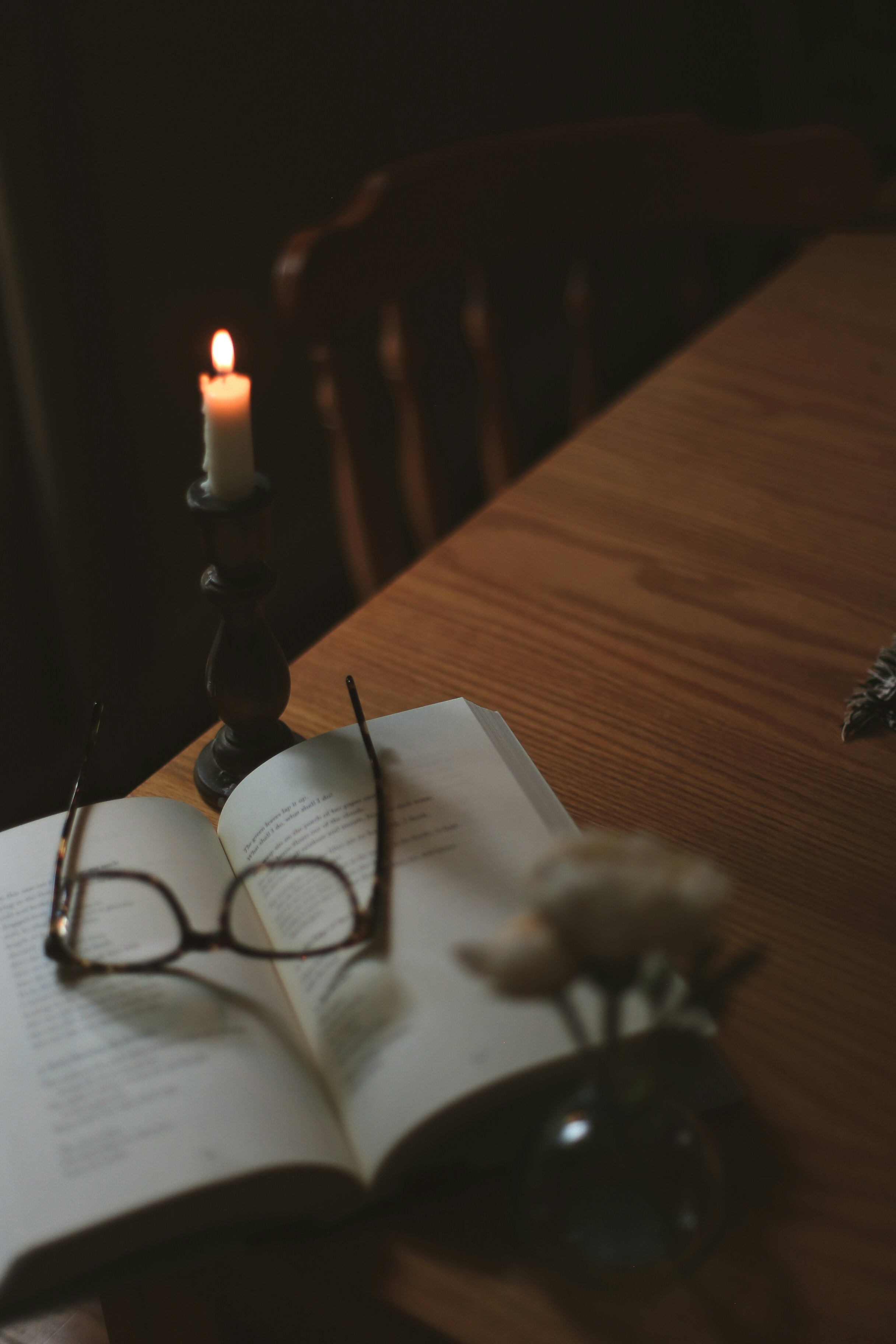 Photo by jessicalfadel