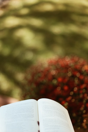 An open book is held against a backdrop of blurred foliage. The background features soft bokeh with red and green hues, creating a serene and peaceful atmosphere.