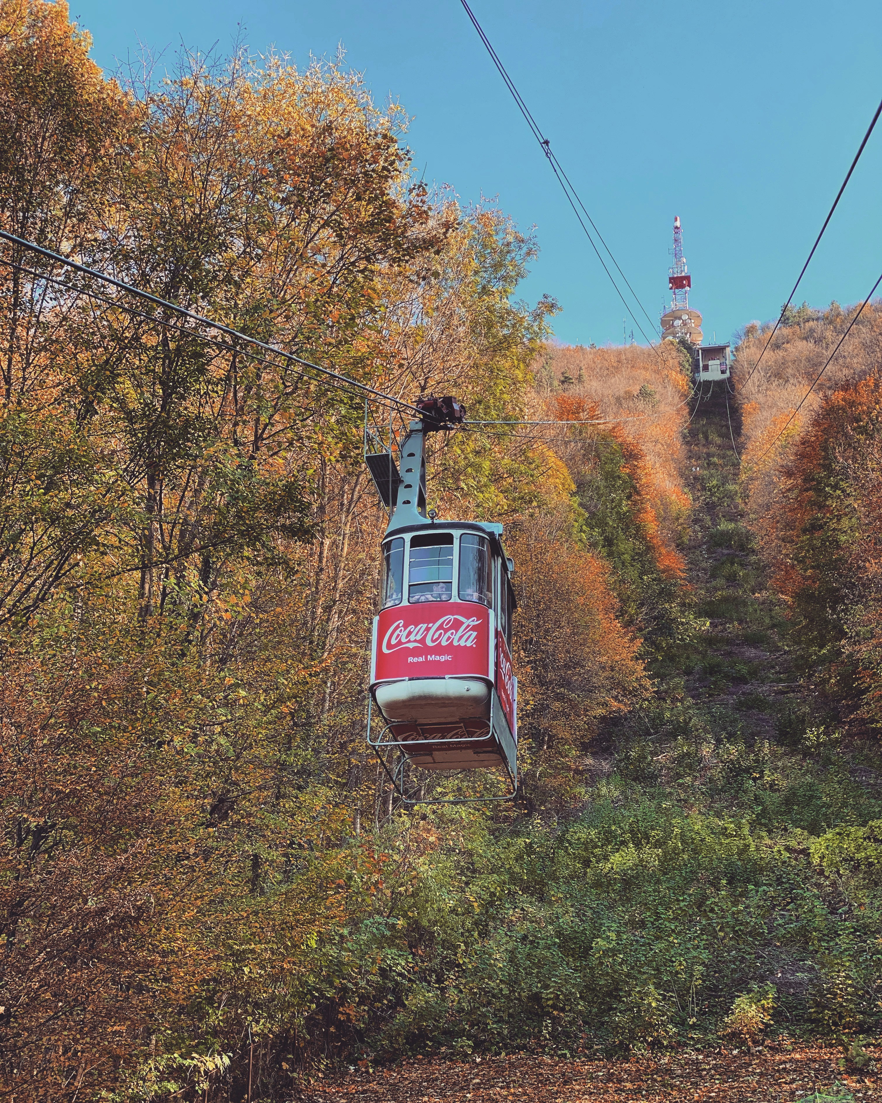 a red and white train traveling through a forest
