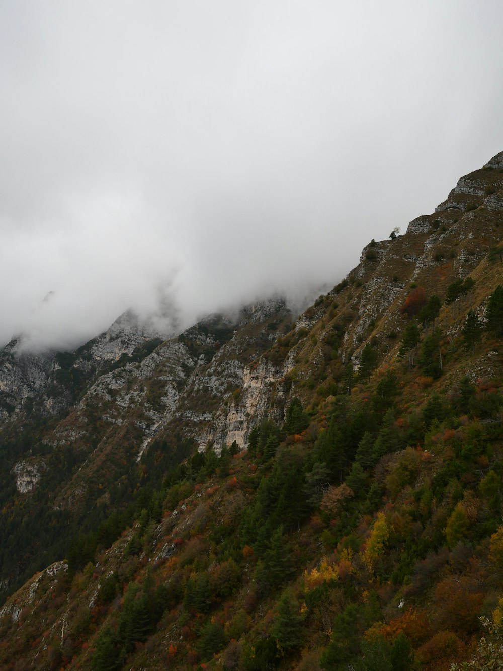 a mountain covered in clouds and trees on a cloudy day