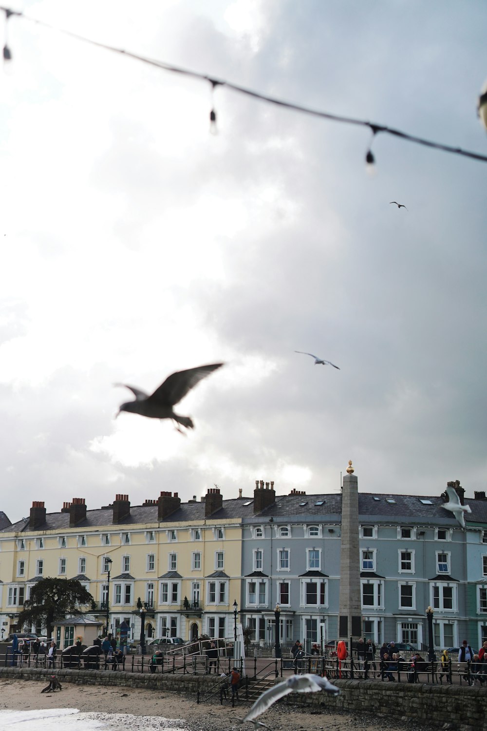 a seagull flying over a beach in front of a row of buildings