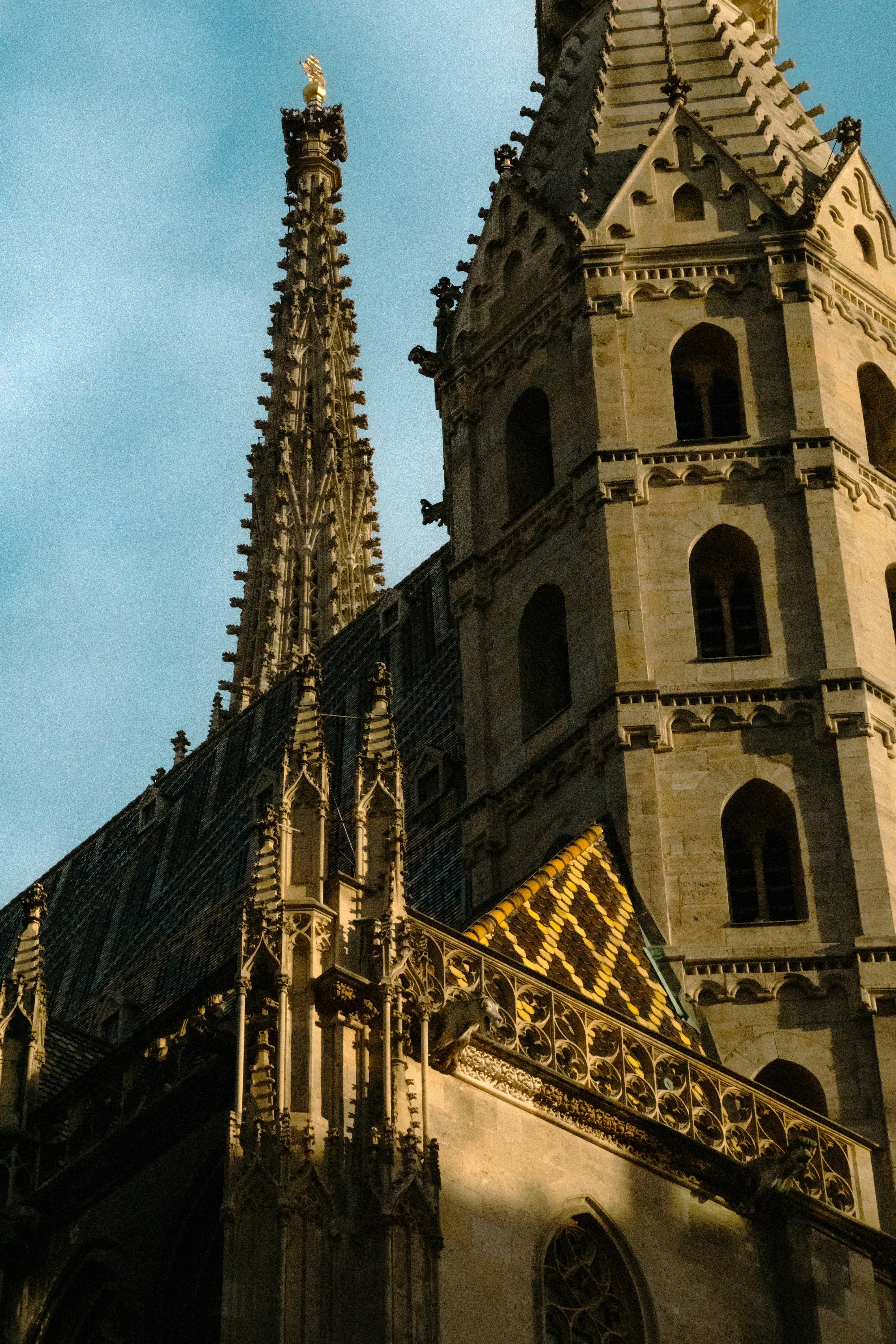 Photo by marie_hastreiter