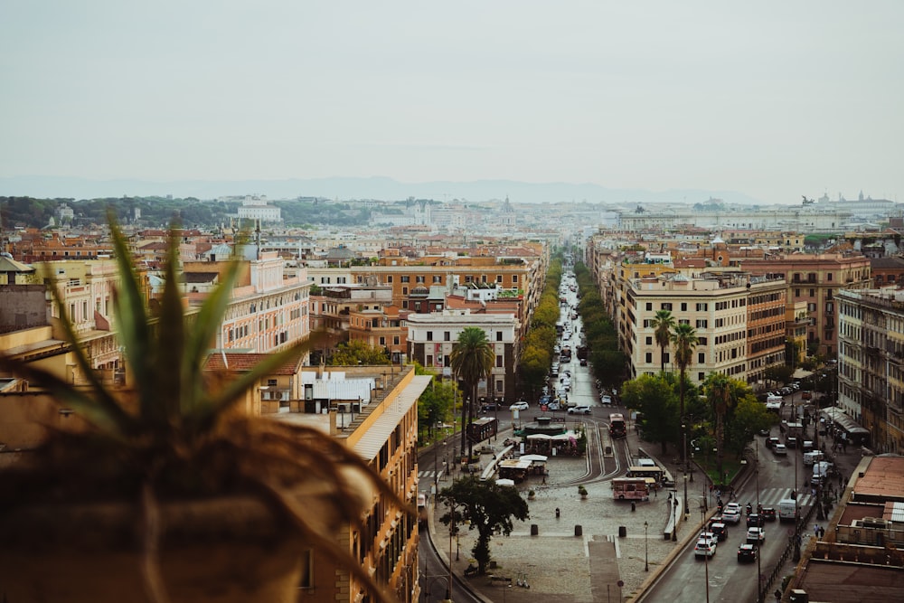 a view of a city from a tall building