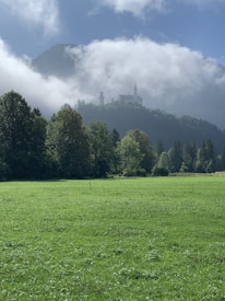 A picturesque landscape showcasing a lush green meadow in the foreground, surrounded by dense trees. In the background, a majestic castle is partially shrouded in mist, perched atop a forested hill. The sky is filled with fluffy clouds, creating a serene and mysterious atmosphere.