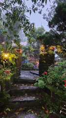 A layered garden scene highlighting lush greenery with overlapping textures of ferns and stone pathways under soft natural light.