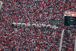 Fans celebrating a Raptors victory together.