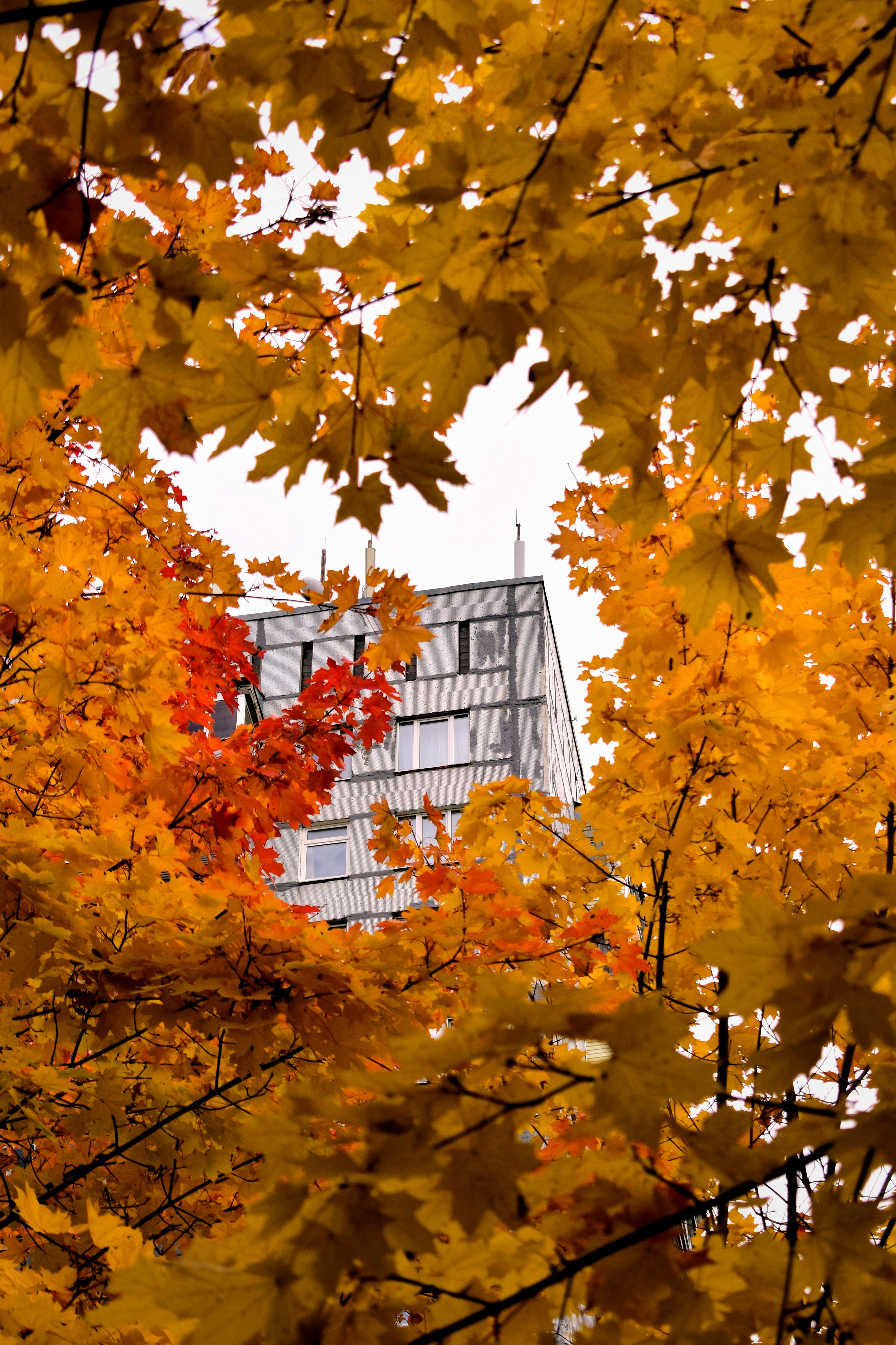 Photo by polina_grishma