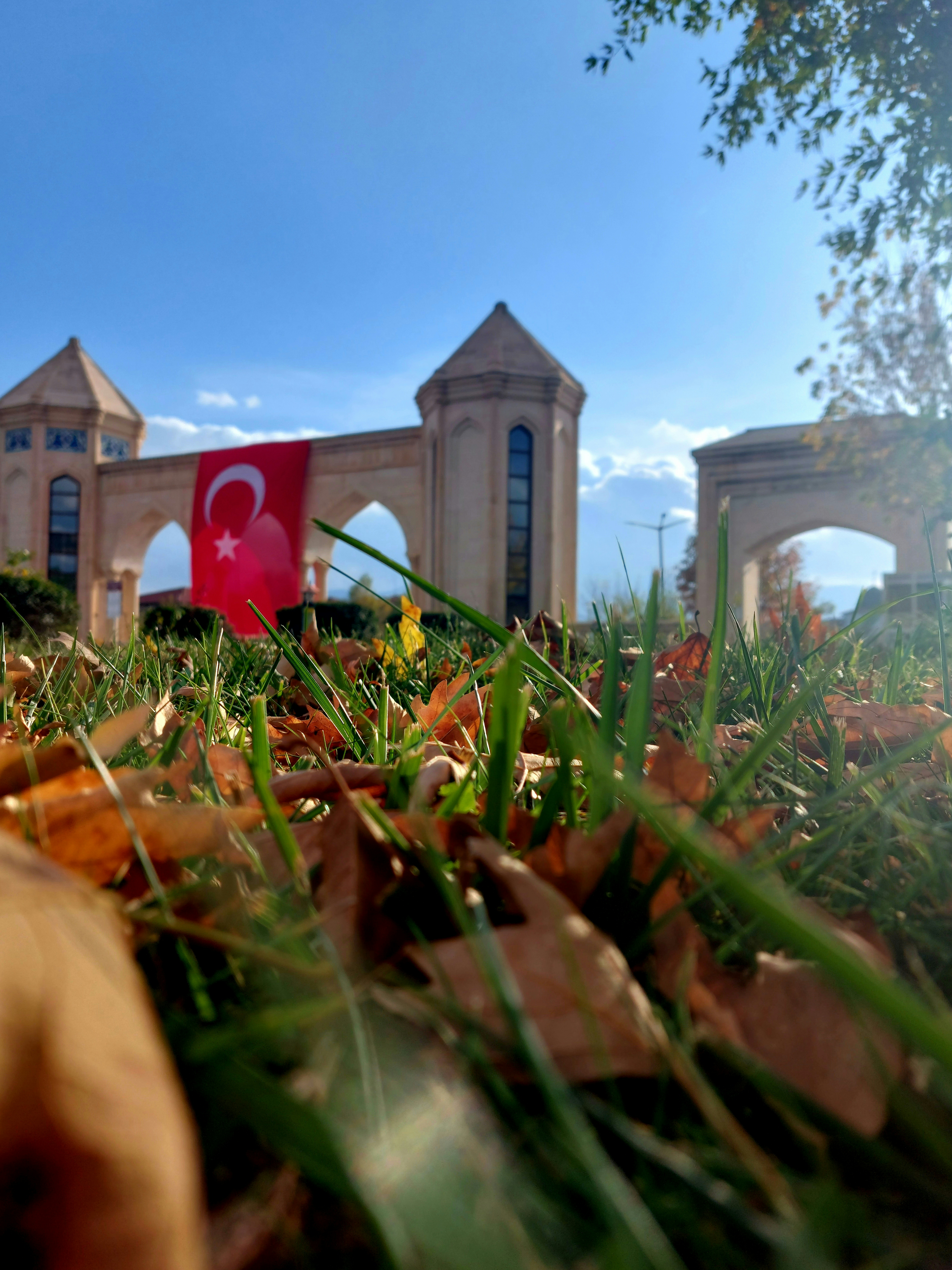 Turan Devletleri: Kimdir, Nasıl Oluştu ve Nerelere Hitap Eder?