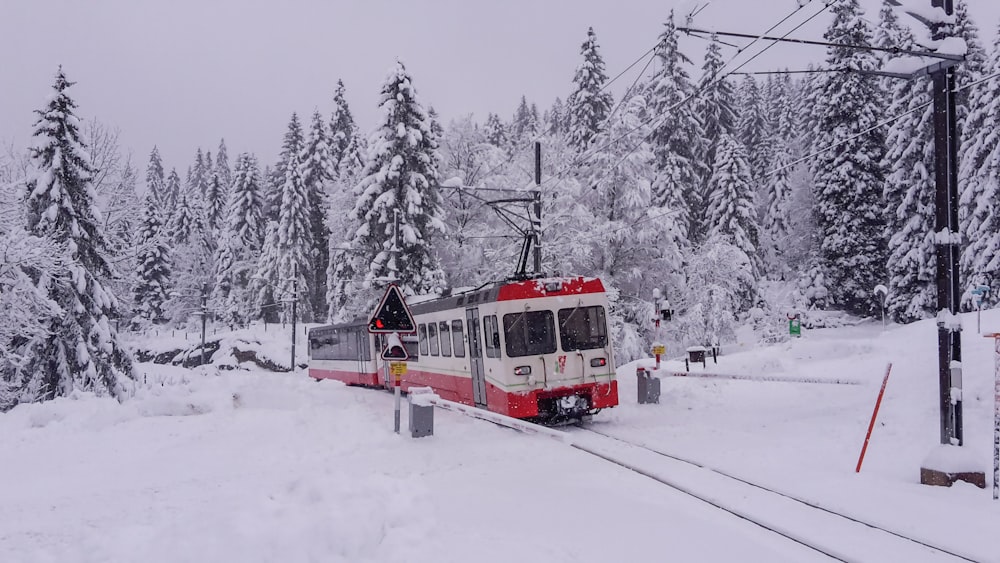 a red and white train traveling through a snow covered forest
