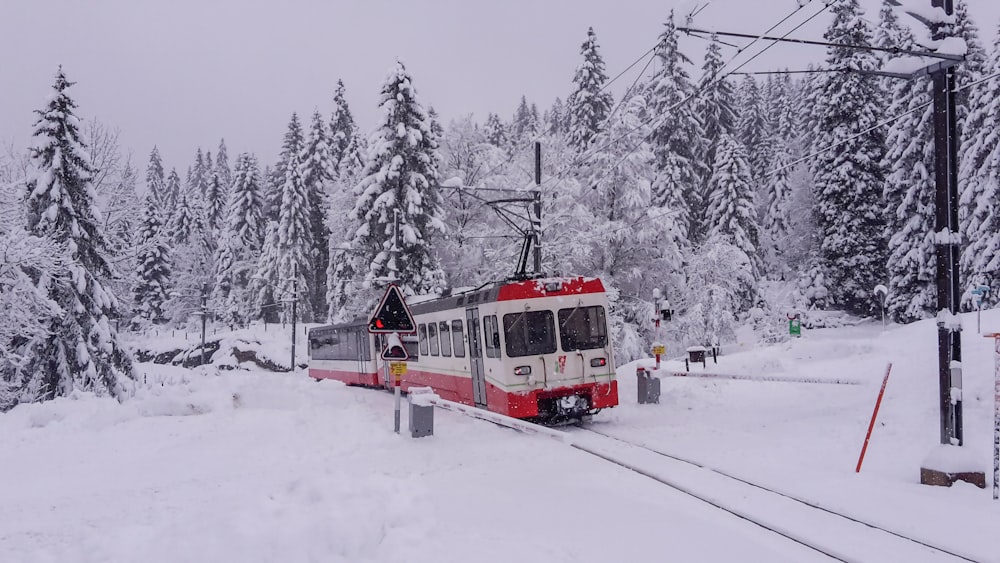 Un train rouge et blanc traversant une forêt enneigée